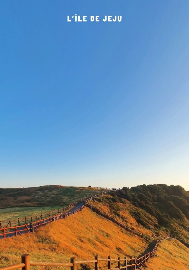 E-book Corée du Sud – Image 5